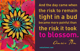 Anais Nin Quote